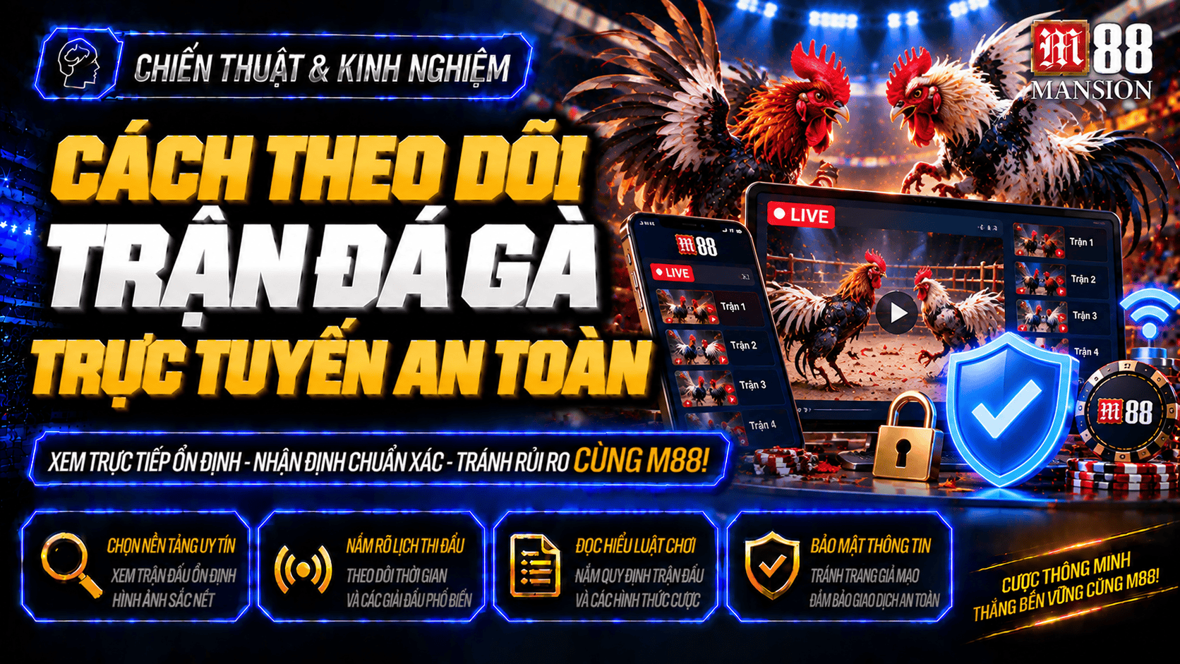 Cách theo dõi trận đá gà trực tuyến một cách an toàn